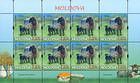 № 877 Kb - Breeds of Sheep 2014