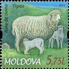 № 878 (5.75 Lei) Țigaie Sheep