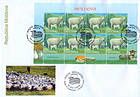 A Flock of Sheep