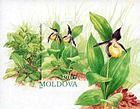 № Block 4B (87B) - Флора - Цветы 1993