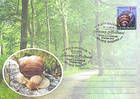 Burgundy Snail (Helix pomatia)