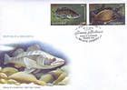 Zander (Stizostedion lucioperca)