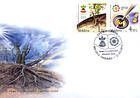 № 895-896 FDC - Декларации ООН: 2015 - Международный год почв и Международный год света 2015
