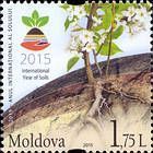 Logo of the International Year of Soils and Plant Roots