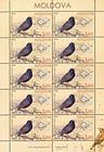 № 923 Kb - Birds of Moldova (IV) 2015