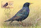 № 923 MC1 - Birds of Moldova (IV) 2015