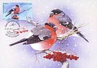№ 924 MC1 - Birds of Moldova (IV) 2015