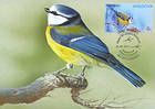 № 925 MC1 - Birds of Moldova (IV) 2015