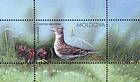 № Block 70 (927) - Birds of Moldova (IV) 2015