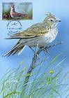 № 927 MC1 - Birds of Moldova (IV) 2015
