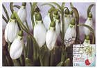 № 945 MC3 - Mărţişor - The Symbol of Spring 2016