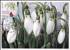 № 945 MC6 - Mărţişor - The Symbol of Spring 2016