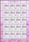 № 951 Kb - Flora: Wild Flowers 2016