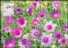 № 951 MC1 - Flora: Wild Flowers 2016