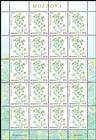 № 952 Kb - Flora: Wild Flowers 2016