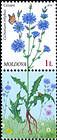 № 953 Zf - Flora: Wild Flowers 2016