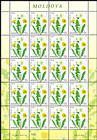 № 954 Kb - Flora: Wild Flowers 2016