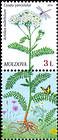 № 955 Zf - Flora: Wild Flowers 2016