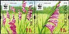 № 958-959a Zd - WWF - Protected Flora: Turkish Marsh Gladiolus (Gladiolus Imbricatus) 2016