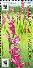 № 958-960 Zd - WWF - Protected Flora: Turkish Marsh Gladiolus (Gladiolus Imbricatus) 2016