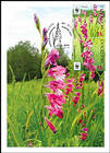 № 958-960Zd MC - WWF - Protected Flora: Turkish Marsh Gladiolus (Gladiolus Imbricatus) 2016