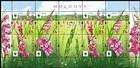 № 958-961 Kb - WWF - Protected Flora: Turkish Marsh Gladiolus (Gladiolus Imbricatus) 2016