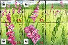 № 958-961 Zd6a - WWF - Protected Flora: Turkish Marsh Gladiolus (Gladiolus Imbricatus) 2016