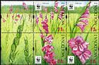 № 958-961 Zd6b - WWF - Protected Flora: Turkish Marsh Gladiolus (Gladiolus Imbricatus) 2016