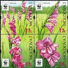 № 958-961 Zda - WWF - Protected Flora: Turkish Marsh Gladiolus (Gladiolus Imbricatus) 2016