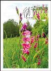 № 958 MC1 - WWF - Protected Flora: Turkish Marsh Gladiolus (Gladiolus Imbricatus) 2016