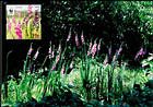№ 958 MC2 - WWF - Protected Flora: Turkish Marsh Gladiolus (Gladiolus Imbricatus) 2016