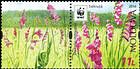 № 958 Zf - WWF - Protected Flora: Turkish Marsh Gladiolus (Gladiolus Imbricatus) 2016