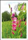 № 959a MC1 - WWF - Protected Flora: Turkish Marsh Gladiolus (Gladiolus Imbricatus) 2016