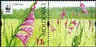 № 959a Zf - WWF - Protected Flora: Turkish Marsh Gladiolus (Gladiolus Imbricatus) 2016