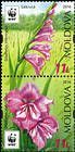 № 959b-961 Zd - WWF - Protected Flora: Turkish Marsh Gladiolus (Gladiolus Imbricatus) 2016