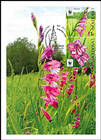 № 959b-961Zd MC - WWF - Protected Flora: Turkish Marsh Gladiolus (Gladiolus Imbricatus) 2016