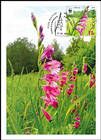 № 959b MC1 - WWF - Protected Flora: Turkish Marsh Gladiolus (Gladiolus Imbricatus) 2016