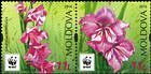 № 960-961 Zd - WWF - Protected Flora: Turkish Marsh Gladiolus (Gladiolus Imbricatus) 2016