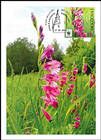 № 960 MC1 - WWF - Protected Flora: Turkish Marsh Gladiolus (Gladiolus Imbricatus) 2016