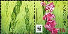 № 960 Zf - WWF - Protected Flora: Turkish Marsh Gladiolus (Gladiolus Imbricatus) 2016