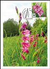 № 961 MC1 - WWF - Protected Flora: Turkish Marsh Gladiolus (Gladiolus Imbricatus) 2016
