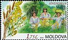 Wheat and Ladys Bedstraw Flowers. Girls Weaving Crowns of Flowers