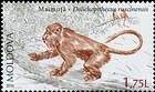 Monkey (Dolichopithecus Ruscinenis)