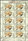 № 982 Kb - Extinct Fauna of Moldova 2016