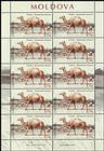 № 983 Kb - Extinct Fauna of Moldova 2016