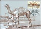 Camel (Paracamelus Alexejevi)