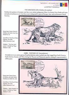 Frame 4 Sheet 8